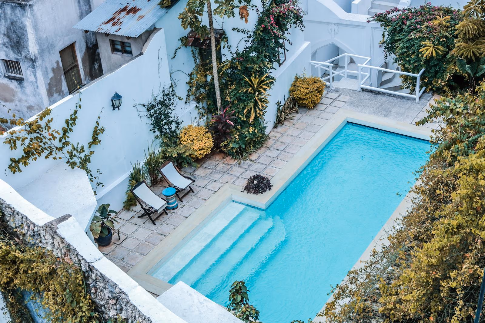 Piscina exterior rodeada de vegetação